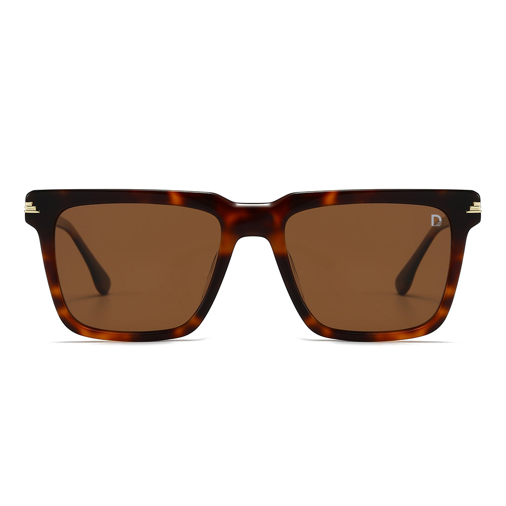 Dollger Square Hipster Acetate Square Tinted Sunglasses