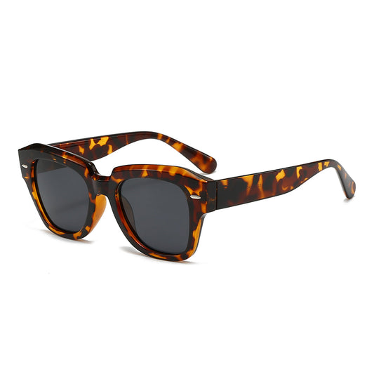 Dollger Hipster Thick Square Sunglasses